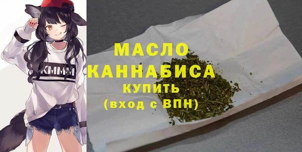 хмурый Арсеньев