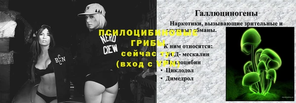 хмурый Арсеньев