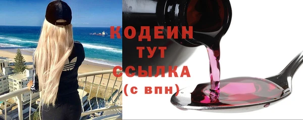 хмурый Арсеньев