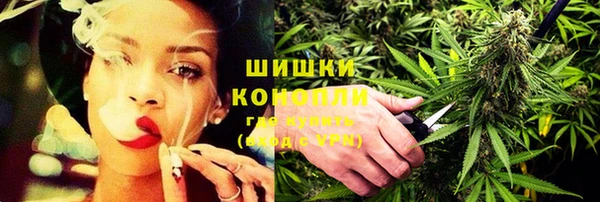 ПСИЛОЦИБИНОВЫЕ ГРИБЫ Аркадак