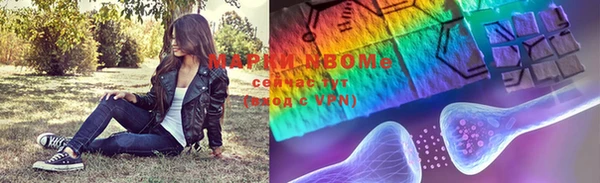 хмурый Арсеньев